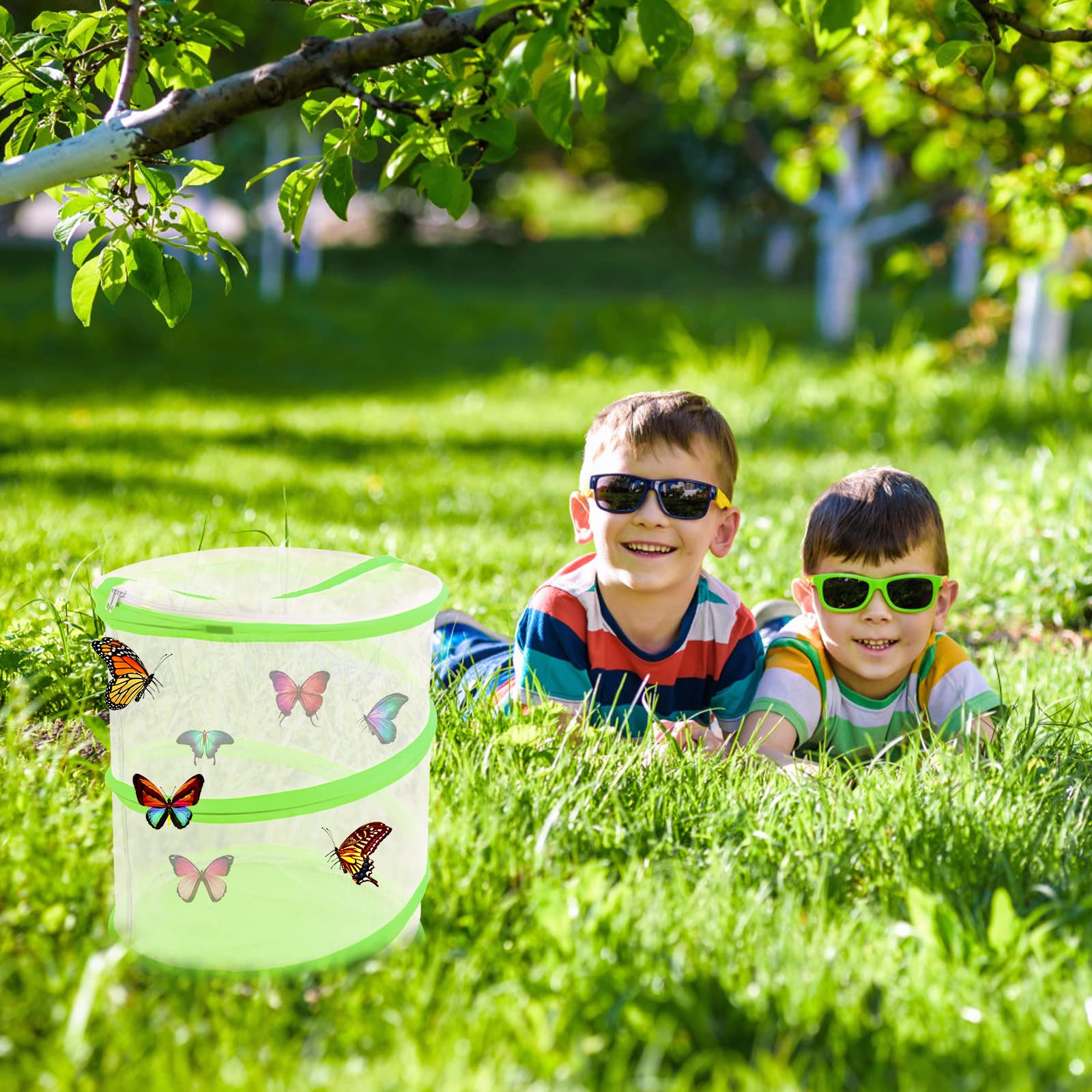 Gabbia per Insetti - Habitat Pieghevole per Farfalla Casetta 30 x 35 cm - Portatile Adatto per Creare un Ambiente Sicuro e Confortevole per Gli Insetti