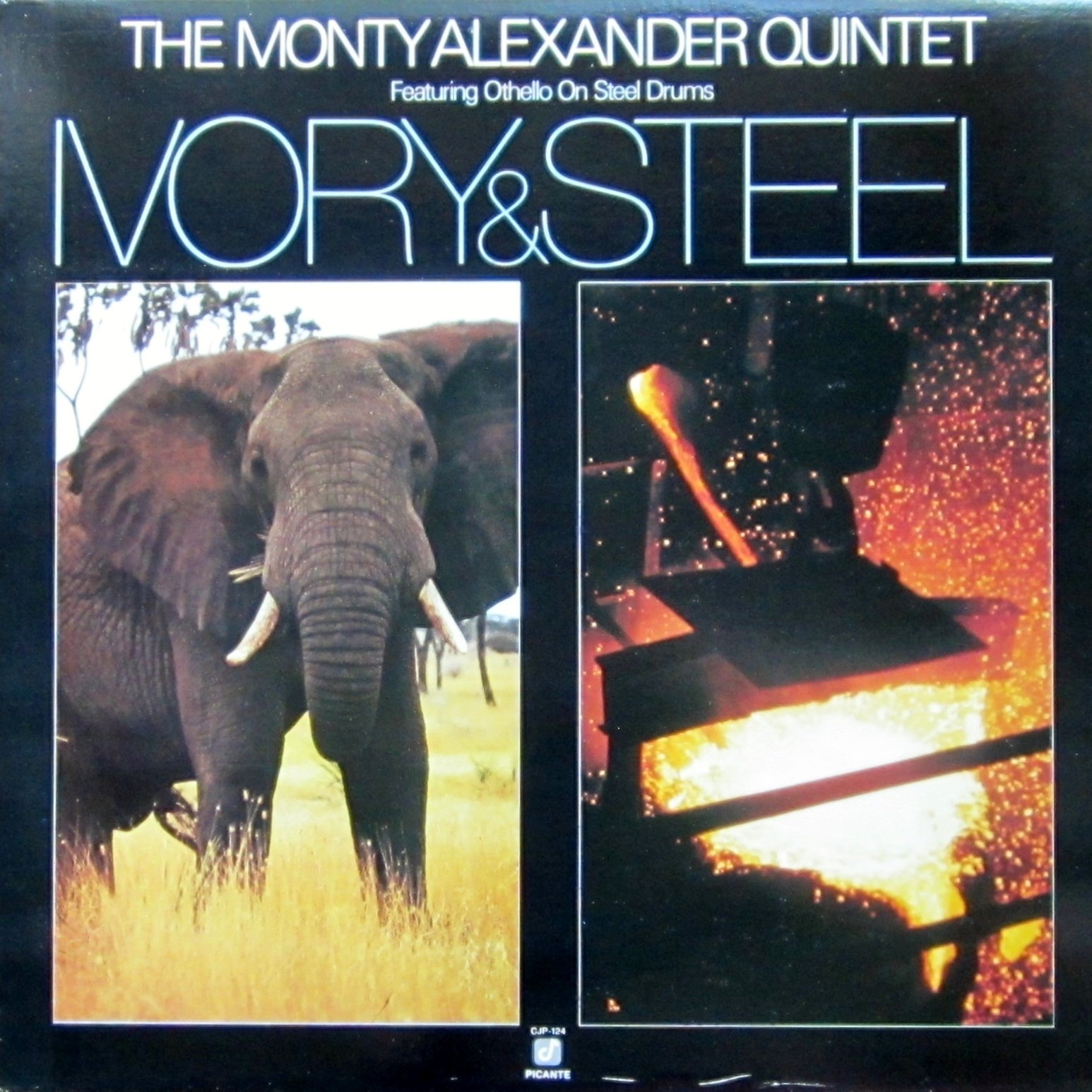 ivory & steel