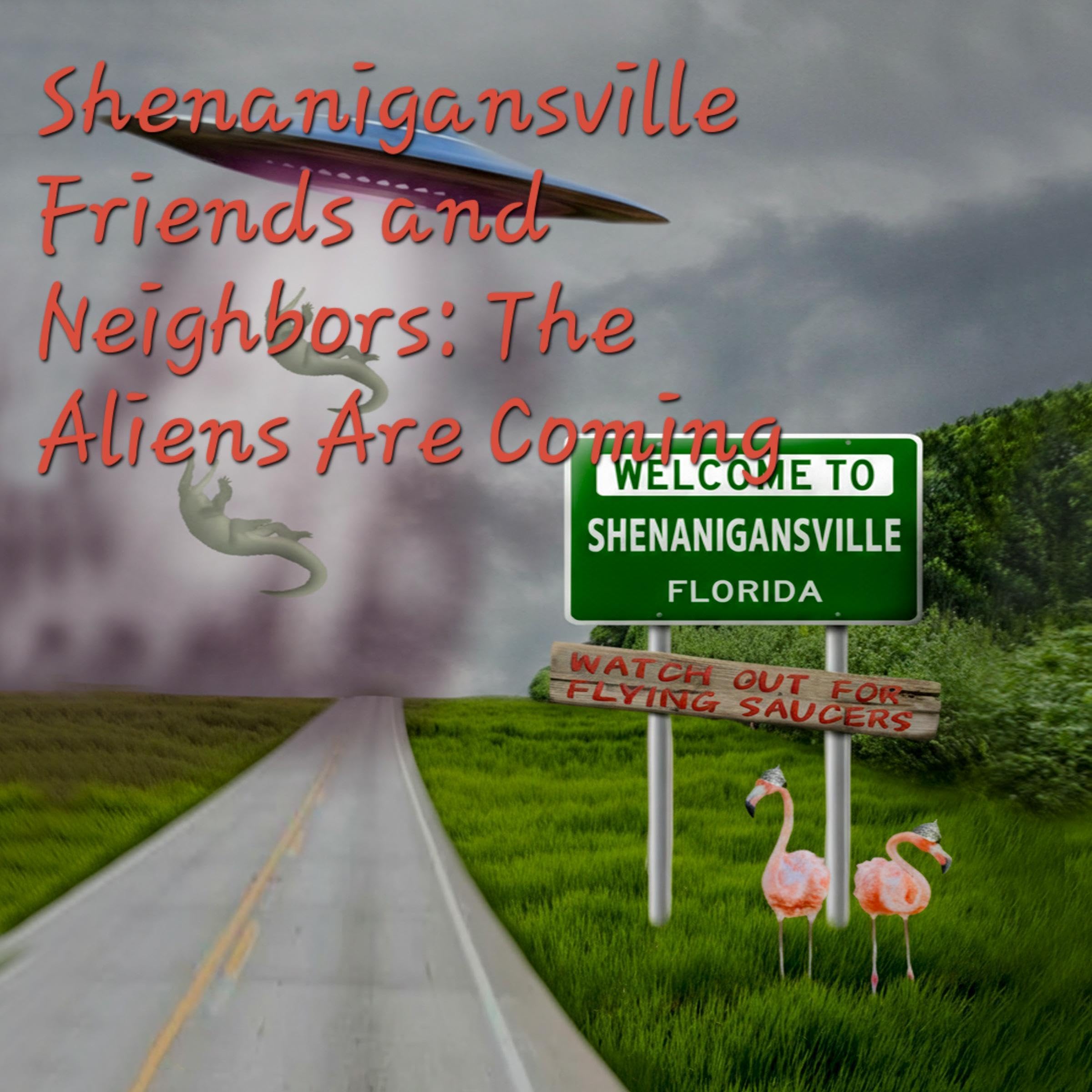 Cover art for Shenanigansville Friends & Neighbors