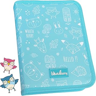 WhataBerry® Portadocumentos Bebé | Porta Documentos para Bebes 0-10 años | Carpeta Documentos Bebe 16 Compartimentos | Porta Documentos Bebe Unisex y Cosas para Bebes | Funda Azul Turquesa 26x19x3cm