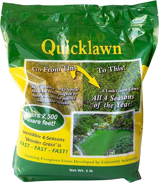 Grass Seeds Quicklawn 1 Lb ~327,360 Seeds – Fast-Germinating, – Lush Green Turf in Days – Drought-Resistant, Low Maintenance – Ideal for Residential & Commercial Lawns
