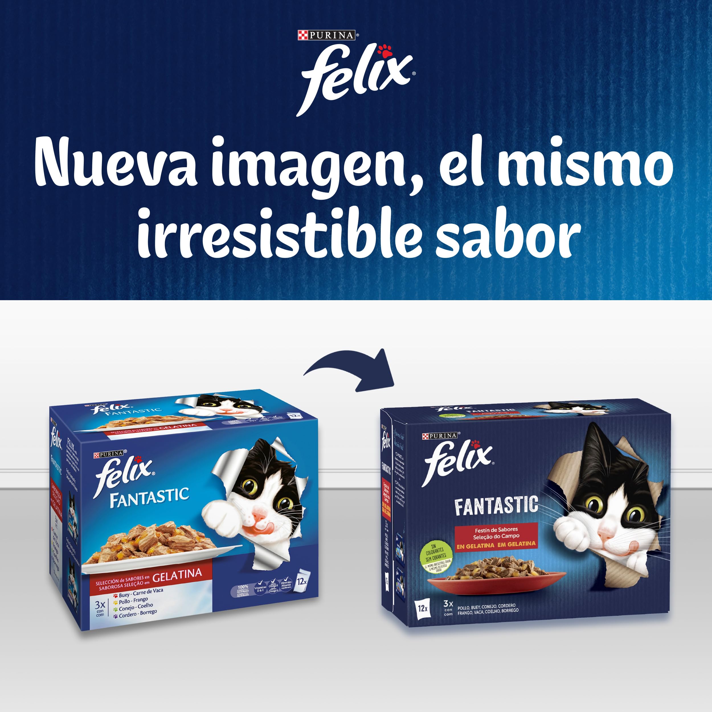 FELIX Fantastic, Comida Húmeda para Gato Adulto, Gelatina, Surtido de Atún, Salmón, Bacalao y Solla, 6 Packs de 12 Sobres de 85 g. (72 Sobres)