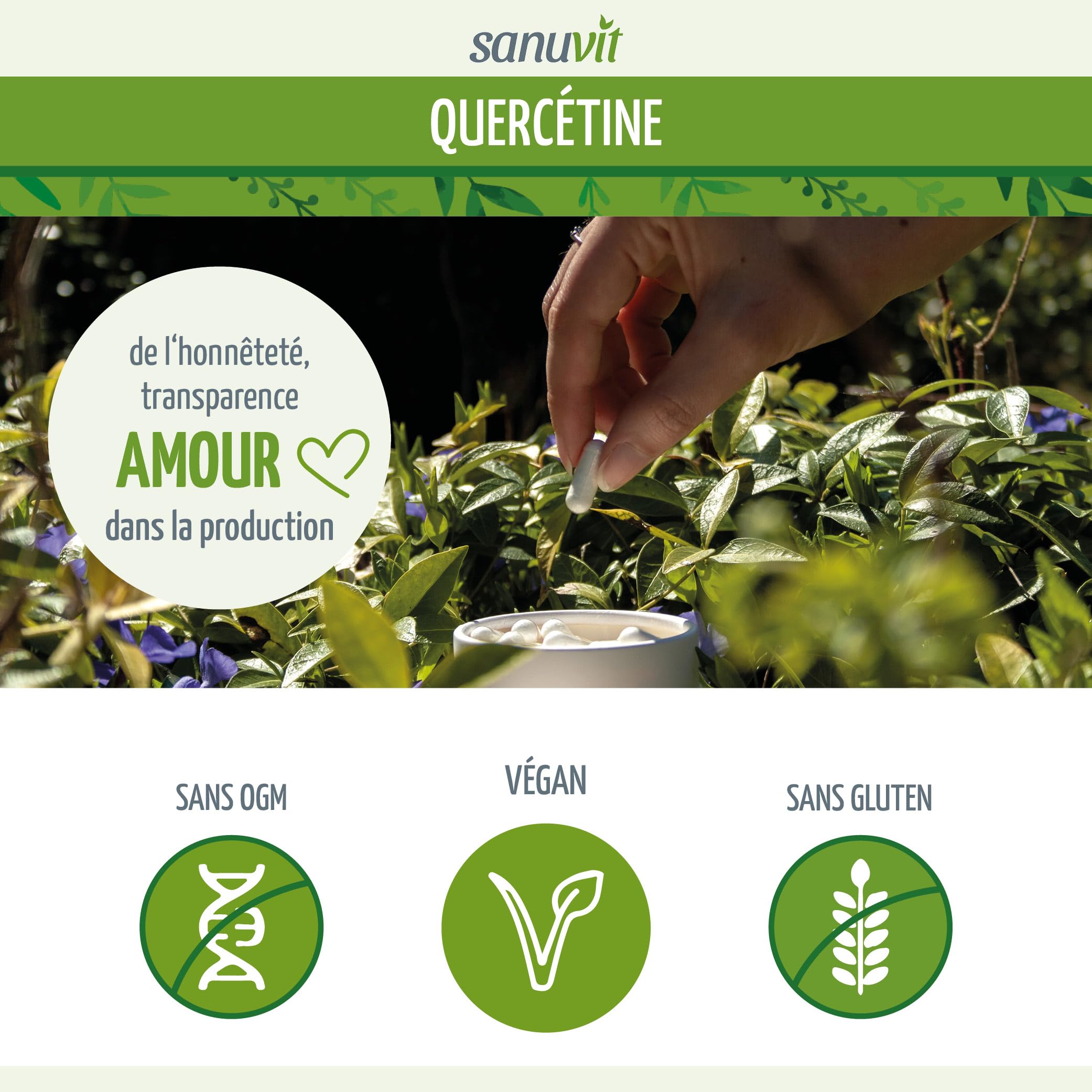 Sanuvit® - Quercétine 500 mg gélules | Dose élevée | Haute biodisponibilité et tolérance | Végétalien | 120 gélules