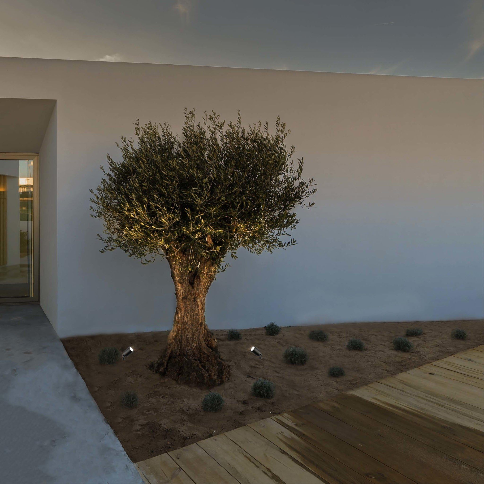 Ledvion 6 pezzi Faretti Esterno Lampade IP65 3W 2700K GU10 picchetto | Per giardino terrazza vialetto aiuole e luce decorativa esterna