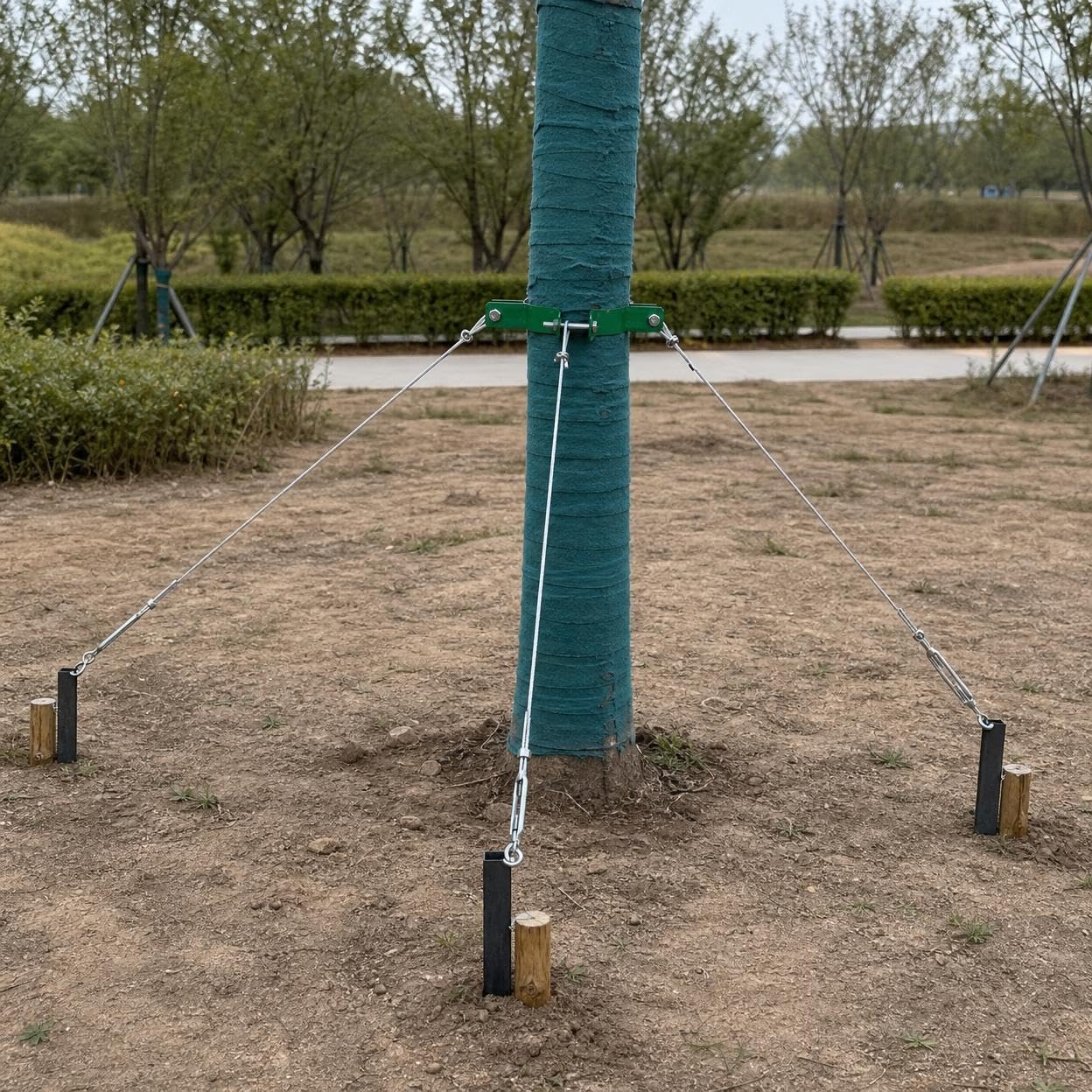Kit Fijación para Árboles con Cuerda Metálica y Tensores - Protege Árboles Inclinados y Recién para Jardines, Color Original galvanizado, 3 Metros