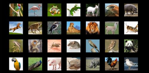 Som de animal