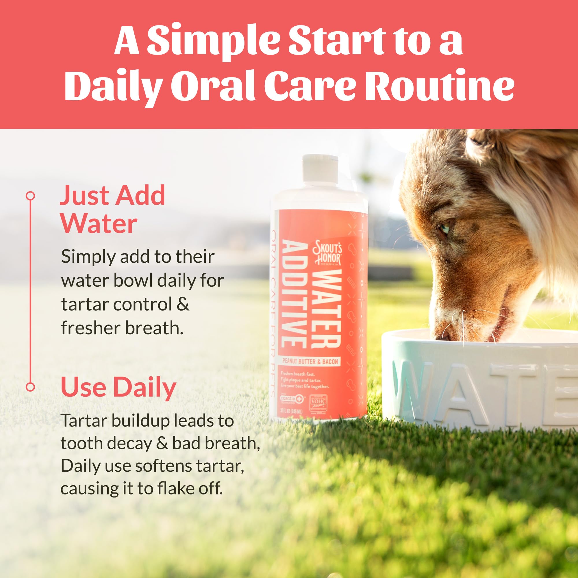 SKOUT'S HONOR Peanut Butter & Bacon Water Additive - VOHC Accepted for Tartar Control, Freshens Breath Fast, No Brushing Required, 32 oz - image 6