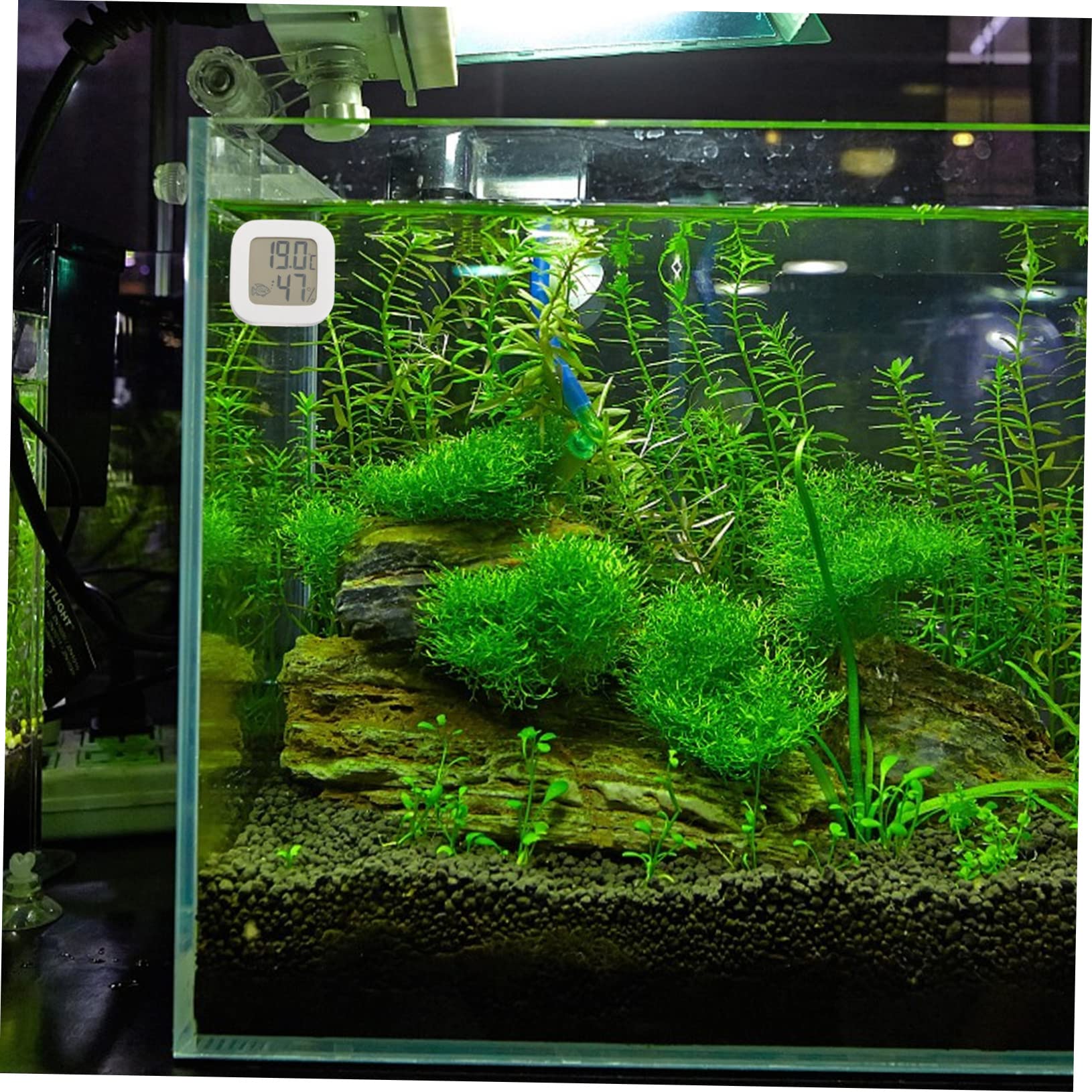 BESPORTBLE 5piezas Termómetro Digital Para Acuario Adhesivo Medidor De Temperatura Para Peceras De Agua Dulce y Salada Lecturas Precisos Cada Segundos Fácil Instalación y Portátil