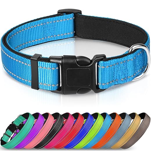 Joytale Reflective Dog Collar,Soft Neoprene Padded Breathable Nylon Pet Collar Adjustable for Small Dogs,Sky Blue,S