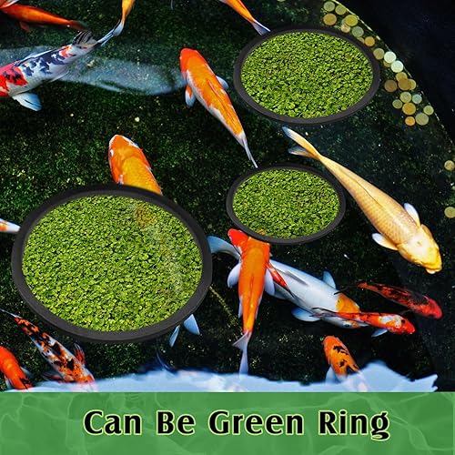 Miniatura 5 de Pangda 10 anillos flotantes para acuario, anillo de alimentación de peces, corral de plantas flotantes para mantener las plantas de alimentos en su