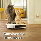 Ver la foto 7