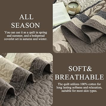 DDUOXIN Farmhouse Stripe Queen Quilt Set - 100% Cotton Quilts with 2 Pillow Shams, Botanical Bedspread Lightweight Comforter Bedding Sets for All Seasons, Brown/Beige, Queen(90 W x 98 L)