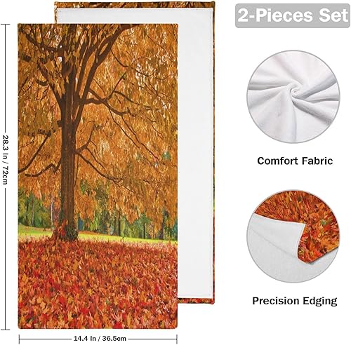 Miniatura 2 de ALAZA Juego de 2 toallas de baño de mano de otoño con hojas de otoño, árboles y árboles, toallas de baño de algodón, suaves y absorbentes, toallas