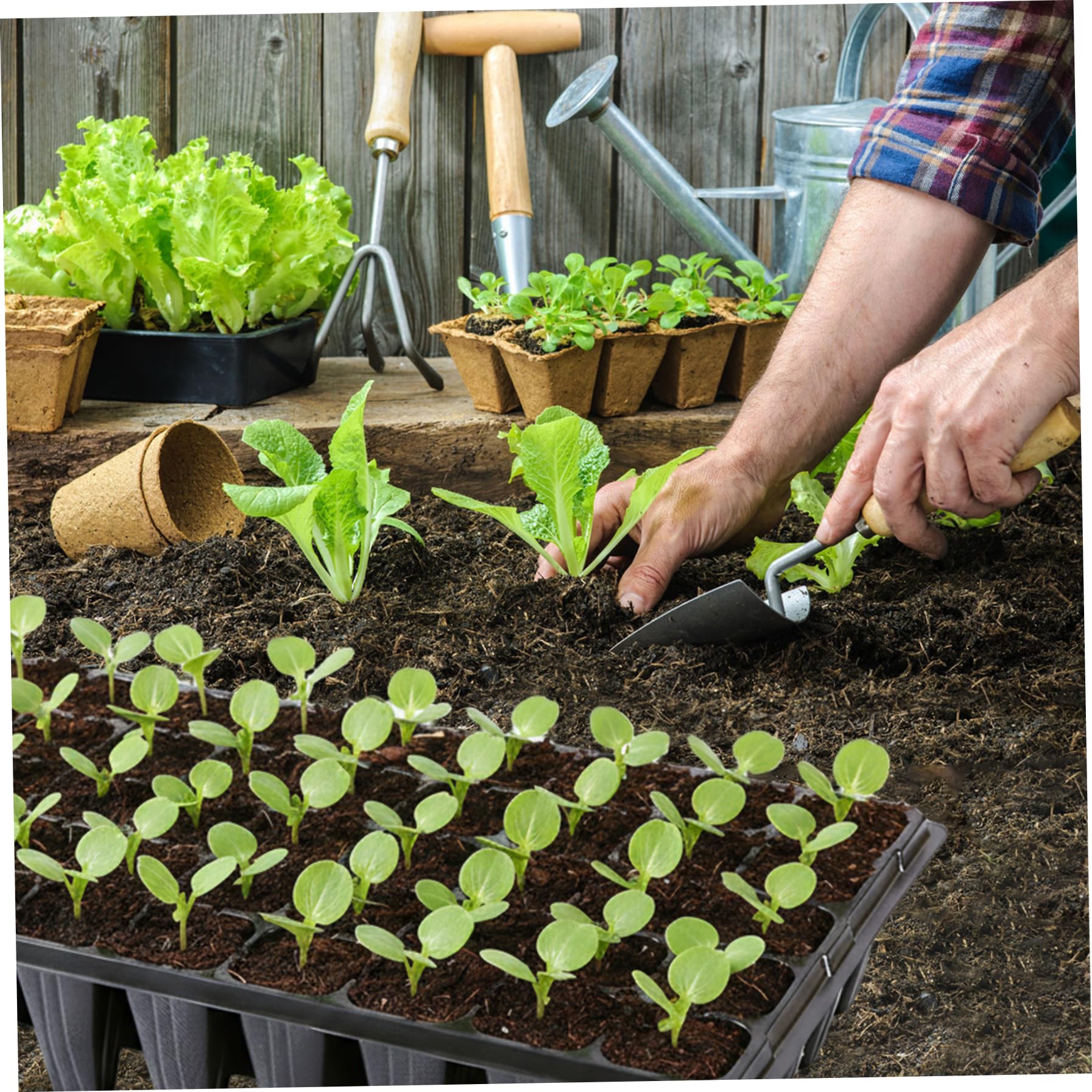 Bandeja de inicio de semillas de 20 piezas, bandejas de inicio de semillas de 50 celdas extra profundas, contenedor de germinación de plástico resistente para invernadero, jardín y agricultura urbana
