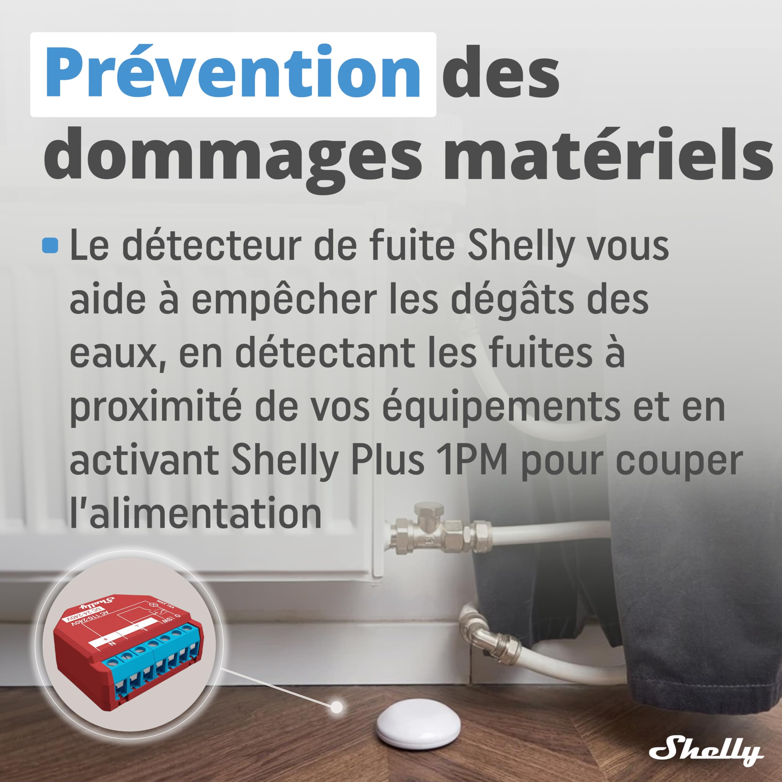 Shelly Flood - Détecteur de Fuite d’Eau Wi-FI, Alerte inondation, Notification instantanée par app iOS, Android, Capteur de température, Batterie Longue durée, Portée 30 à 50 m
