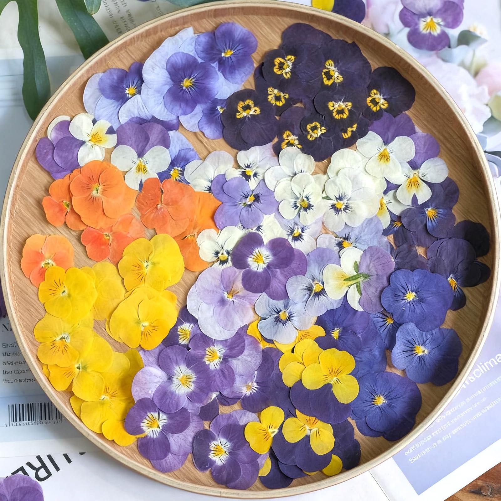 AYNKH 40 Edible Dried Flowers - 8 Pressed Styles, Cake Decorations, Edible Toppers & Crafts Resin Supplies - Image 4