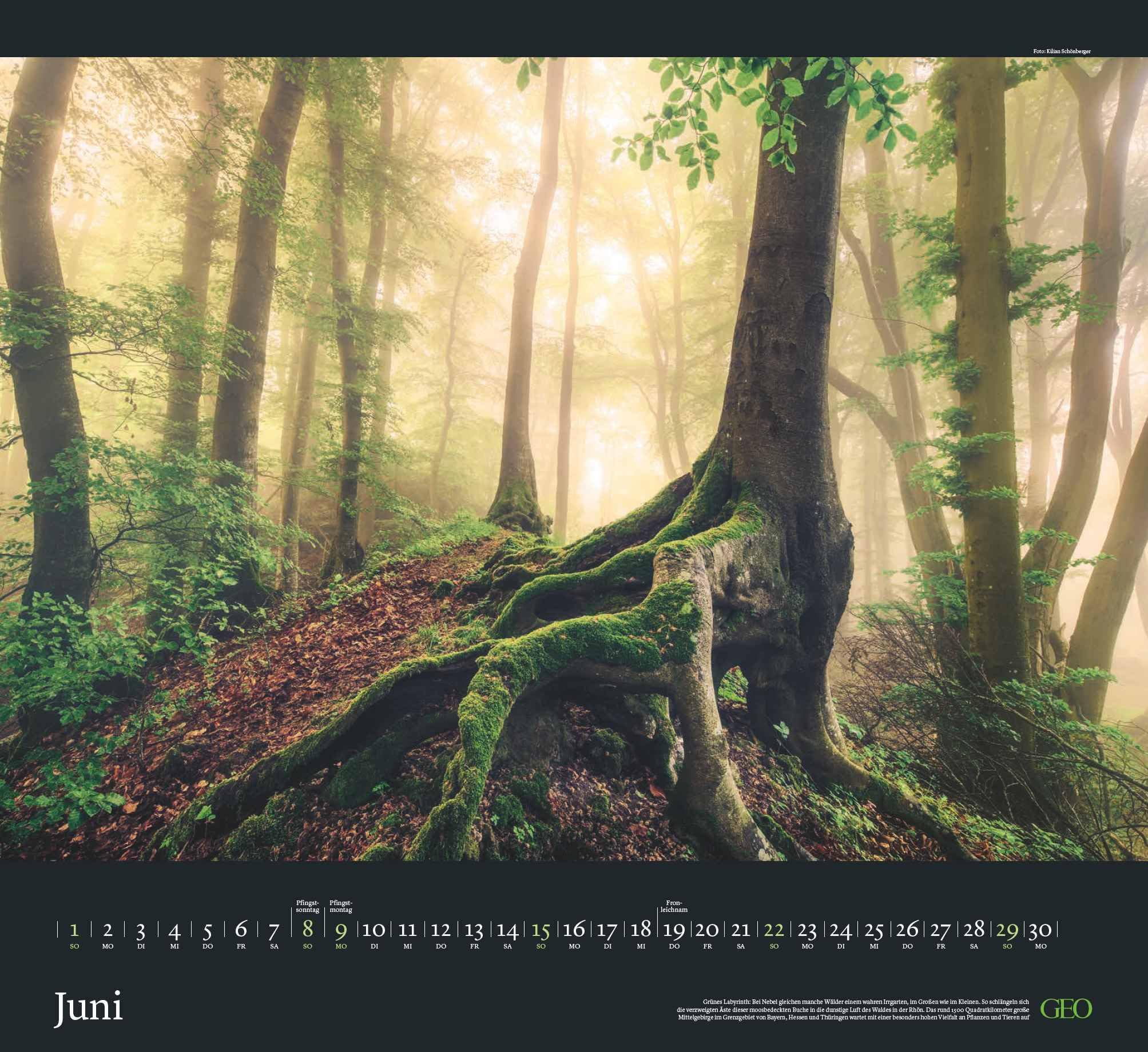 GEO - Sehnsucht Wald Wandkalender 2025 - Eindrucksvoller Waldlandschaften Kalender, Harmonisches Format 60x55 cm, mit Faszinierenden Wald- und Naturbildern