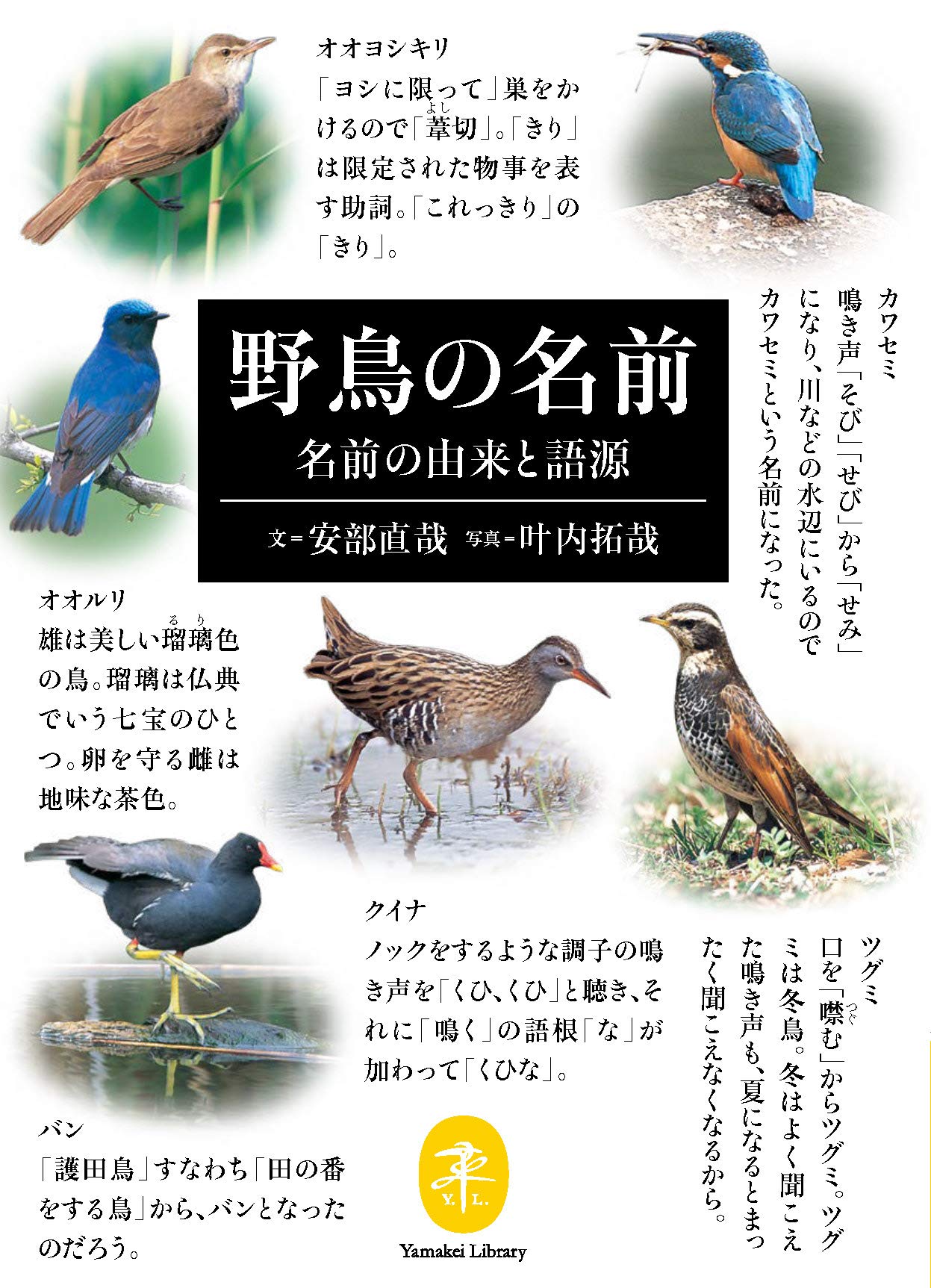 ヤマケイ文庫 野鳥の名前 名前の由来と語源 | 安部 直哉, 叶内 拓哉