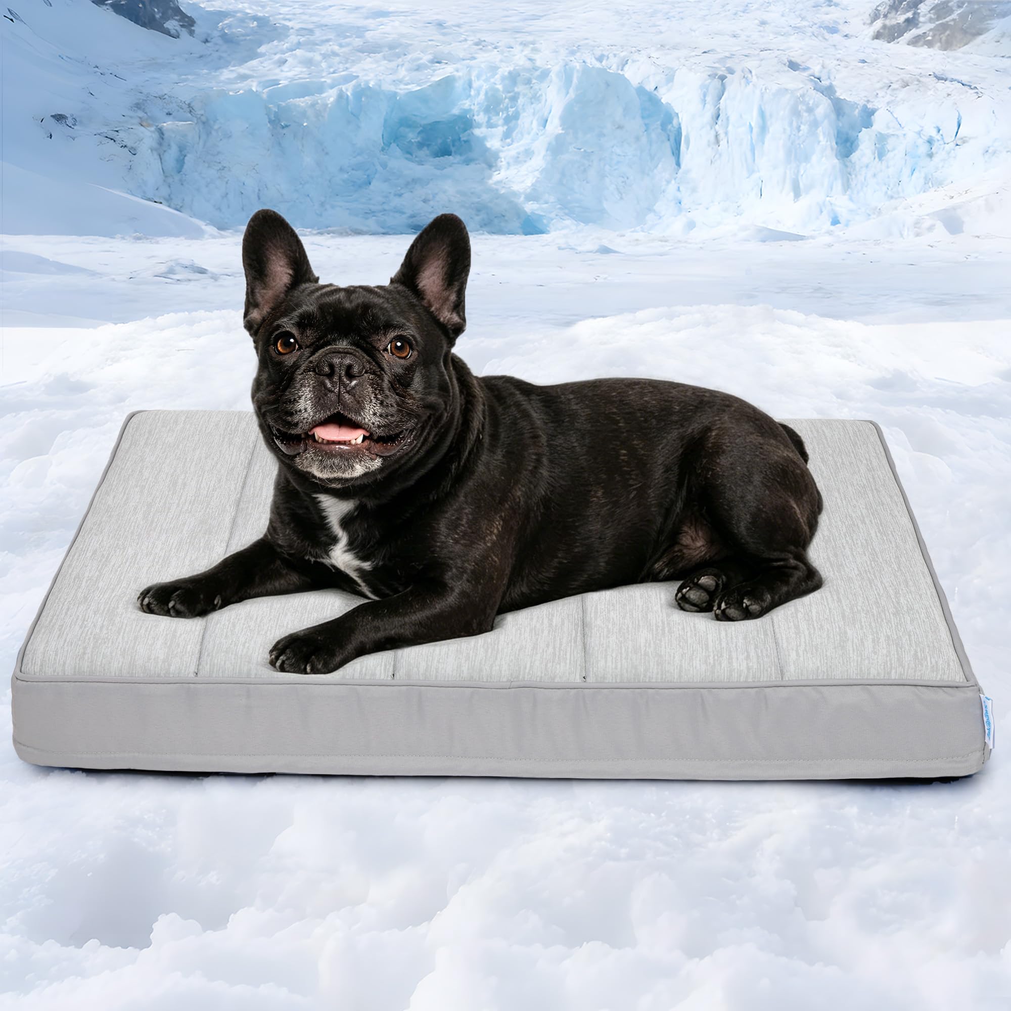 ZAKAPAWS Chicute Cooling Dog Bed for Medium Dogs - Orthopedic Pet Beds with Memory Foam, QMAX>0.5, Waterproof Removable Washable Cover for Hot Weather,Grey, 30" L x 20" W x 3" H — image 1
