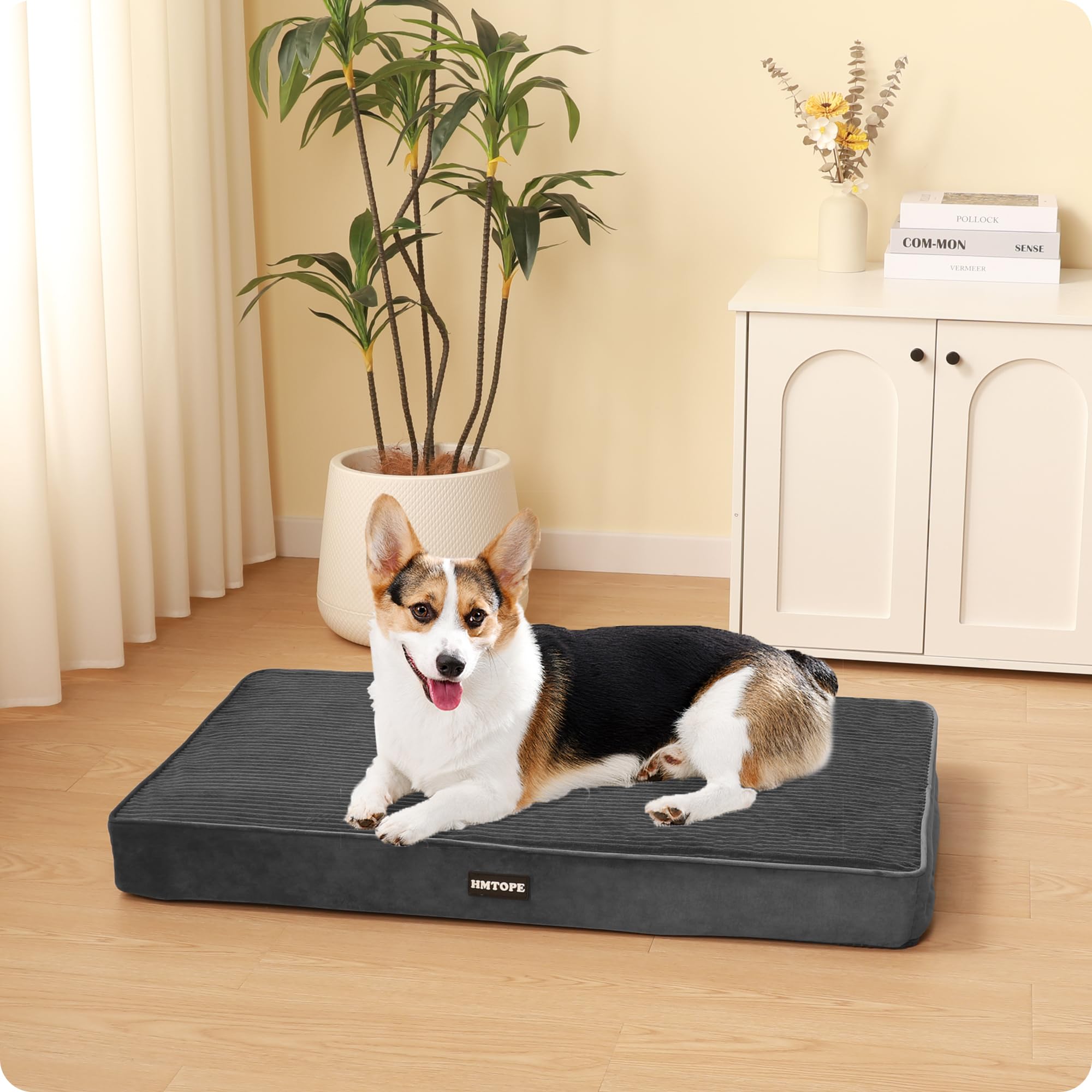 HMTOPE Lit pour chien, Tapis pour chien DB031DG