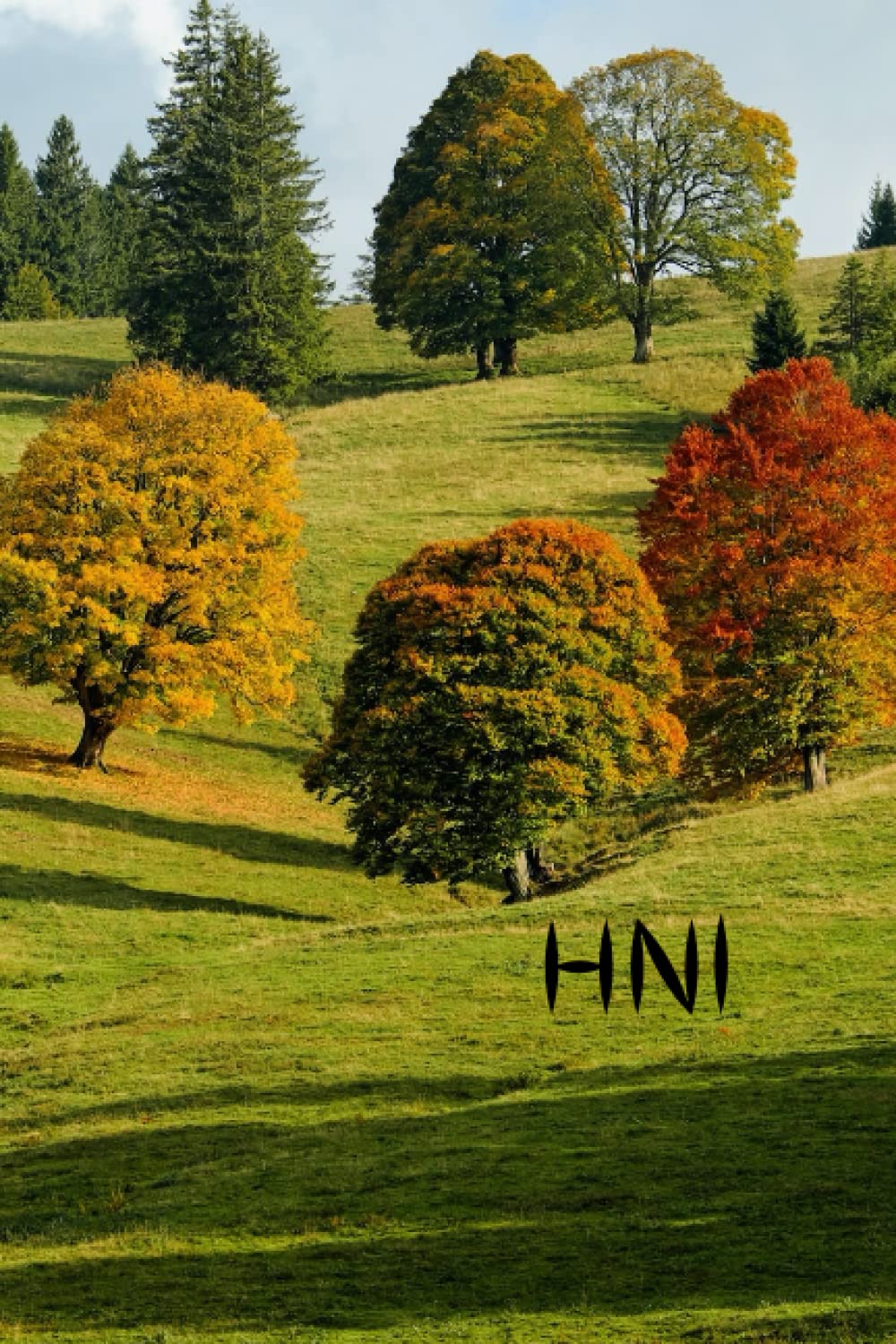 HNI: Wide-ruled, lined paper diary or seasonal notebook with a soft pink cover that is empty inside. It has 120 pages and is 6" x 9" in size.