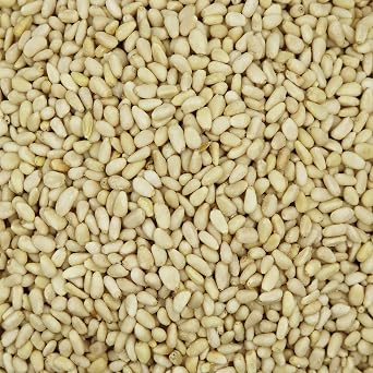 Smarty Stop Raw Nuts Collection Raw Pine Nuts, 1 Pound Pack of 1