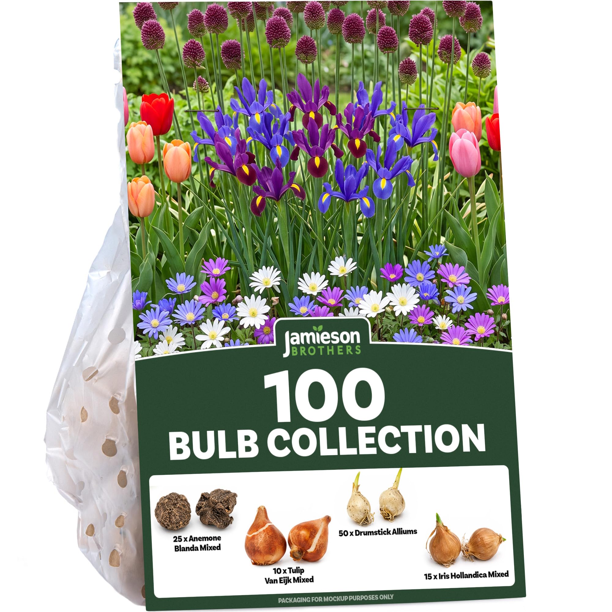 100 x Spring Flowering Bulbs Mixed Pack, 100 Bulbs, Autumn Planting Garden Collection Kit (Tulips, Iris, Anemones & Alliums) by Jamieson Brothers