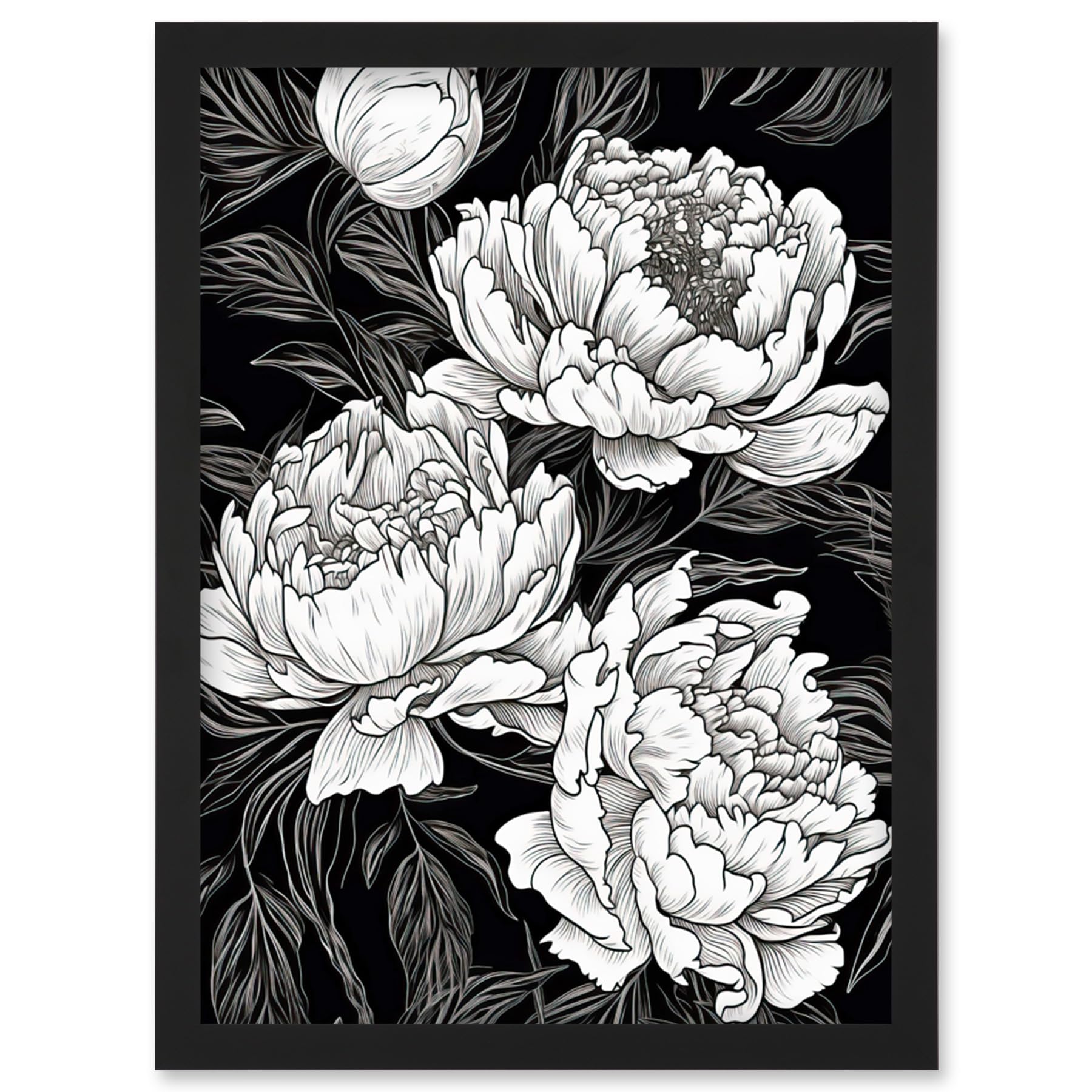 Artery8 Peony Flower Blooms White on Black Illustration Artwork Framed Wall Art Print A4