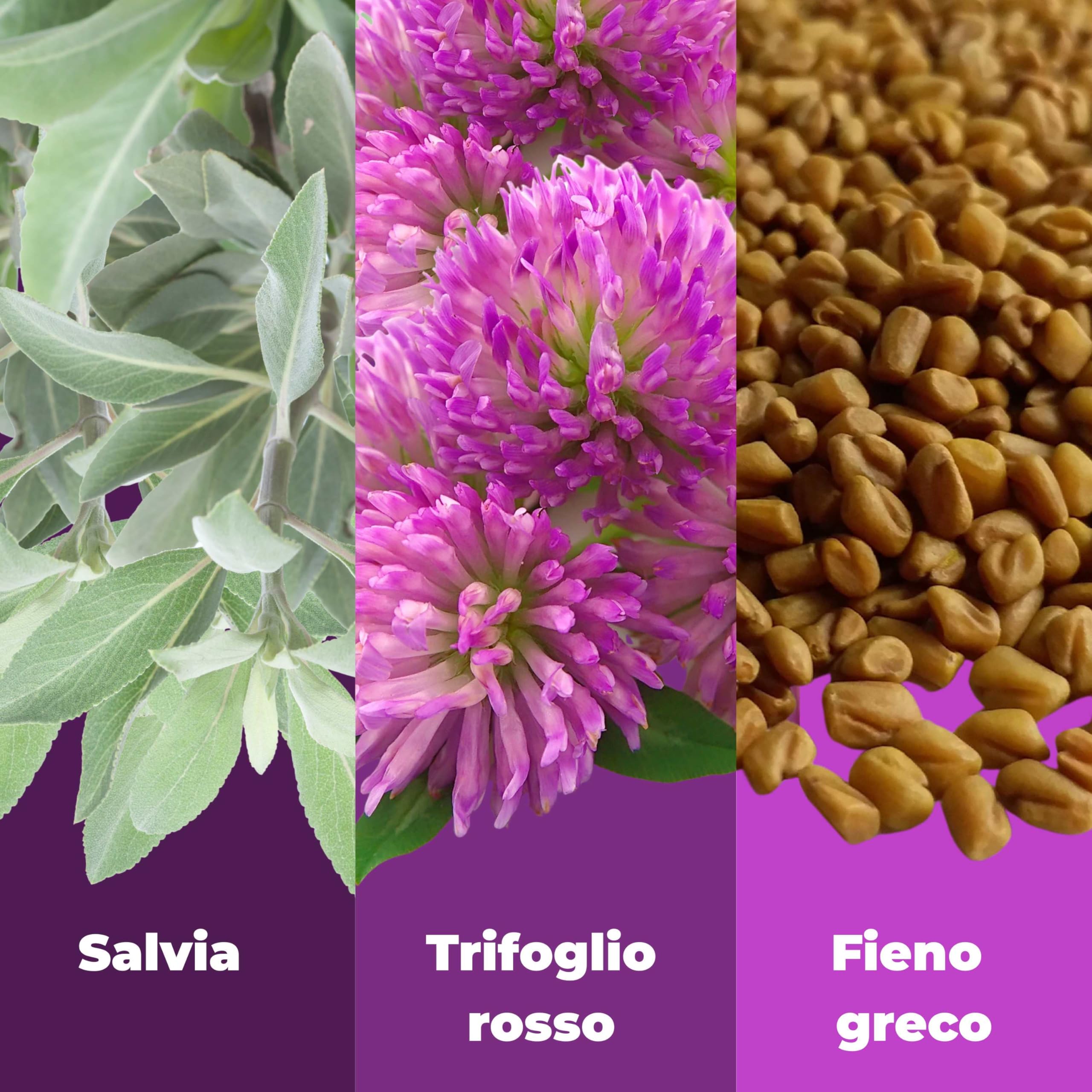 Menopausa Peso Integratore Donna 120 Compresse – Dimagrante e Drenante Forte – Pancia Piatta, Metabolismo e Benessere in Menopausa - Trifoglio Rosso e Salvia