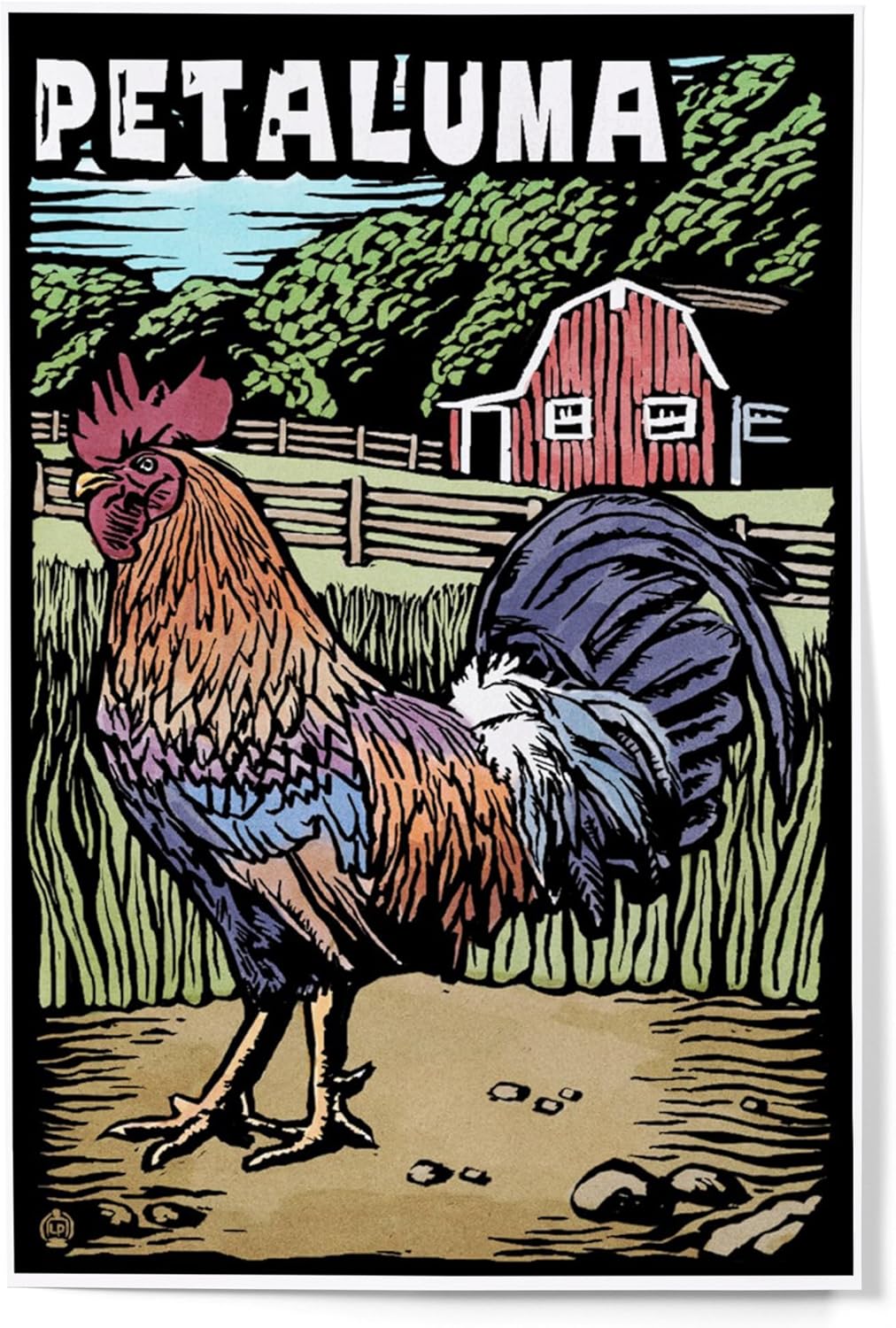 Lantern Press Petaluma, California, Rooster, Scratchboard