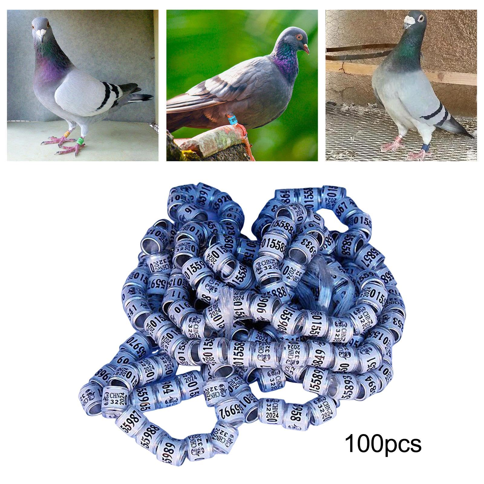 鳩ページ10/3まで Amazon | JISADER 100個 アルミ鳩足バンド 鳩足リング 2024 耐久性の