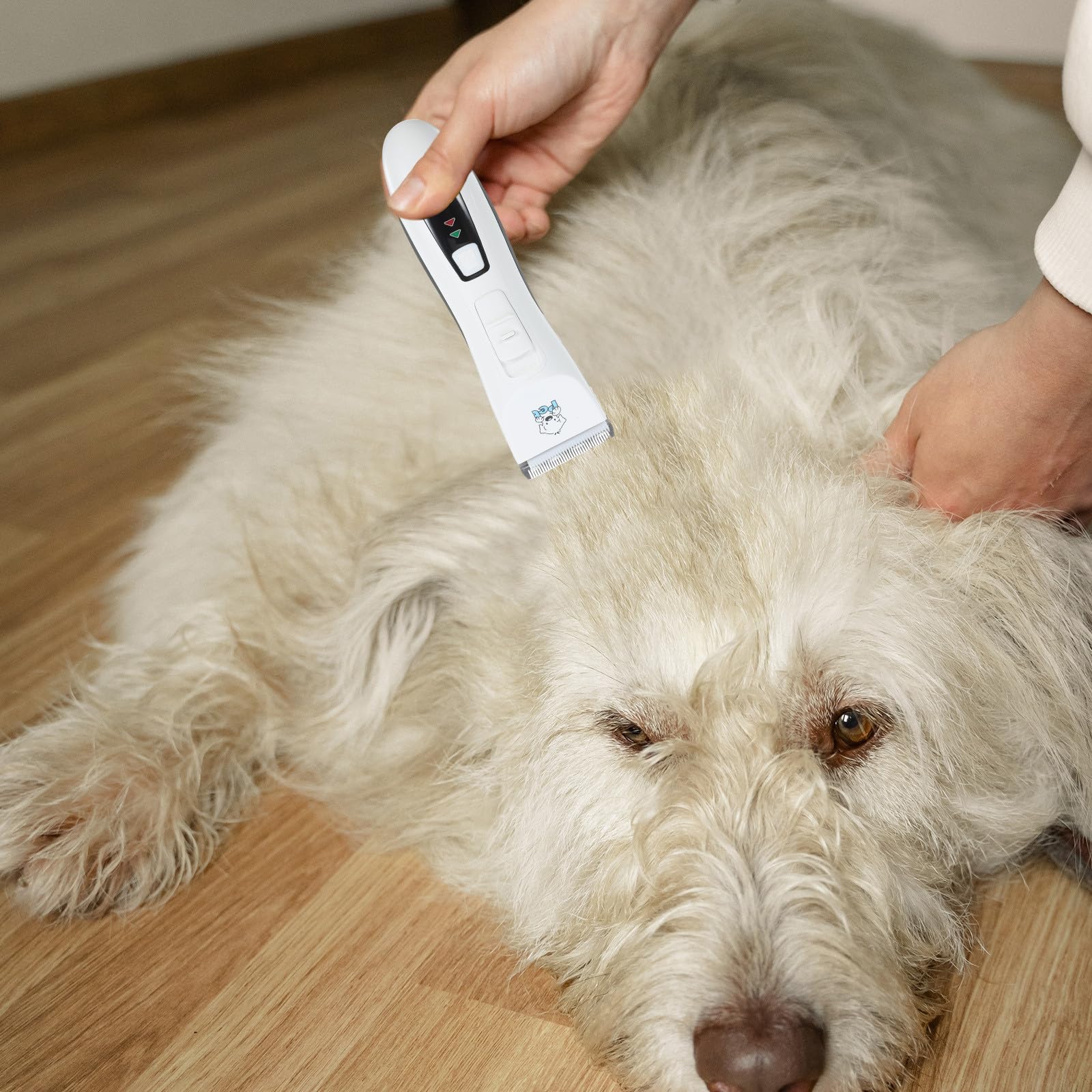 Cortapelos para Perros Pequeños Recargable Ruido para Mascotas