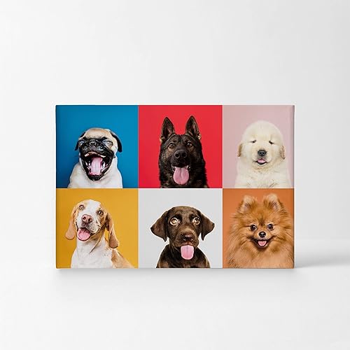 Vista 37 de Smile Art Design Border Collie Bulldog Rottweiler Cachorro Persa Gatito Animal Lienzo Impresión Arte de Pared Pet Cat Dog Lover Sala Dormitorio