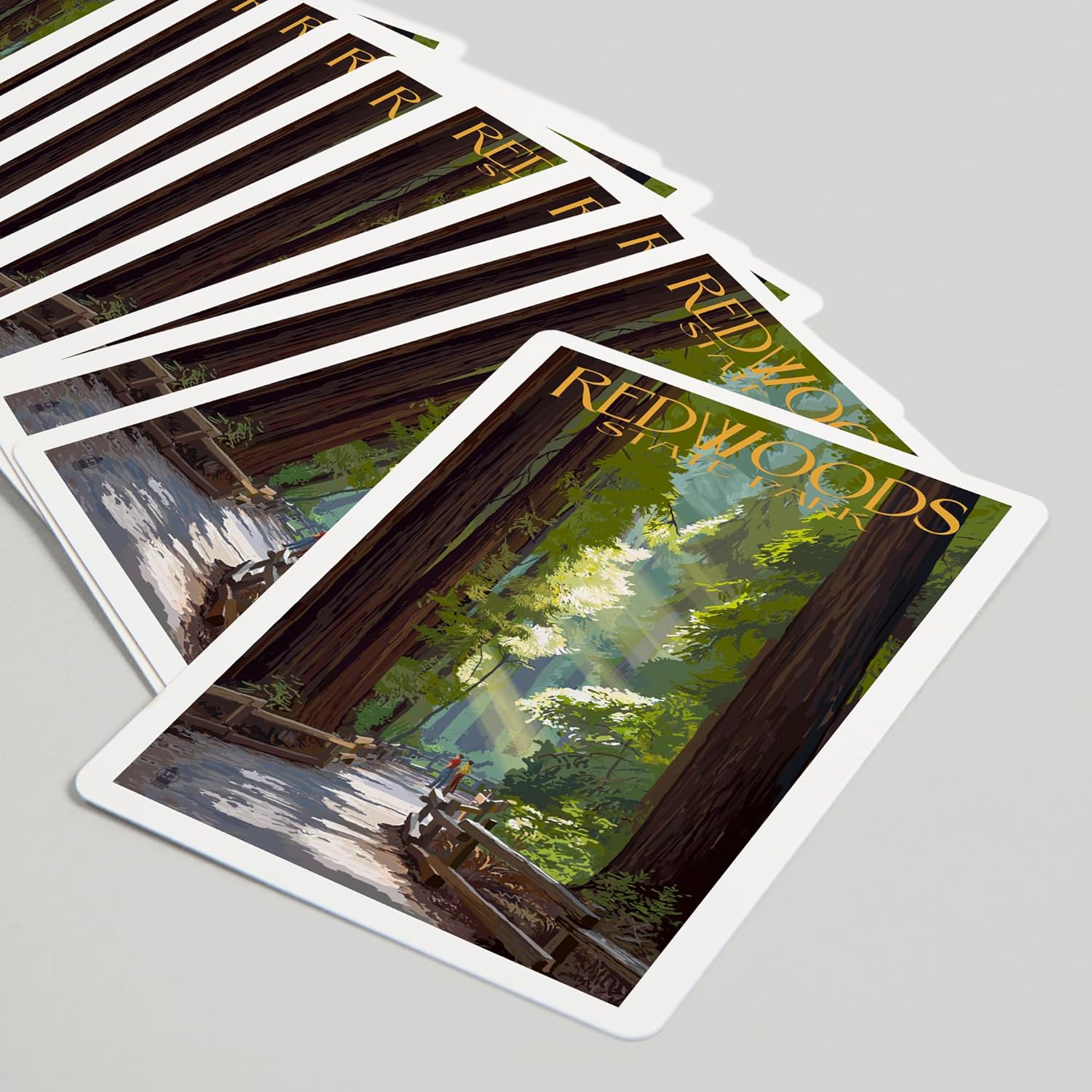 Lantern Press Redwoods Park, California, Pathway in Trees, 52 Playing Cards for Adults, Poker Size Card Deck