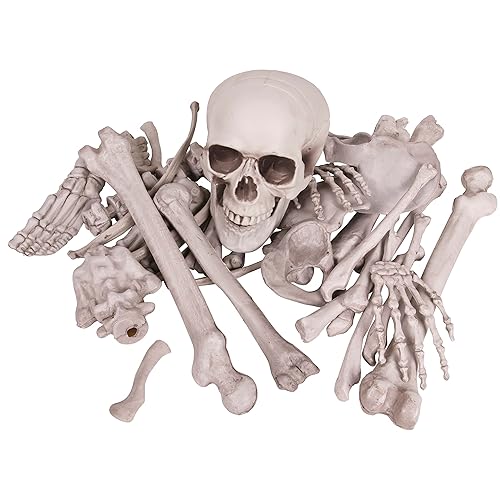 Kangaroo Halloween Skeleton Decor Bones 30 Pieces Bulk - Large
