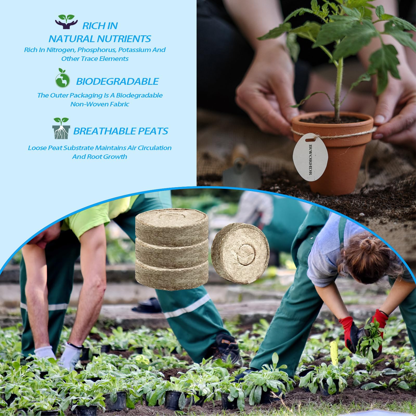 255 piezas de fibra de pellets de turba de 40 mm, iniciadores de semillas de plantas, pellets de turba, tapones de cápsulas de tierra, tierra comprimida de turba, fertilizante de semillas