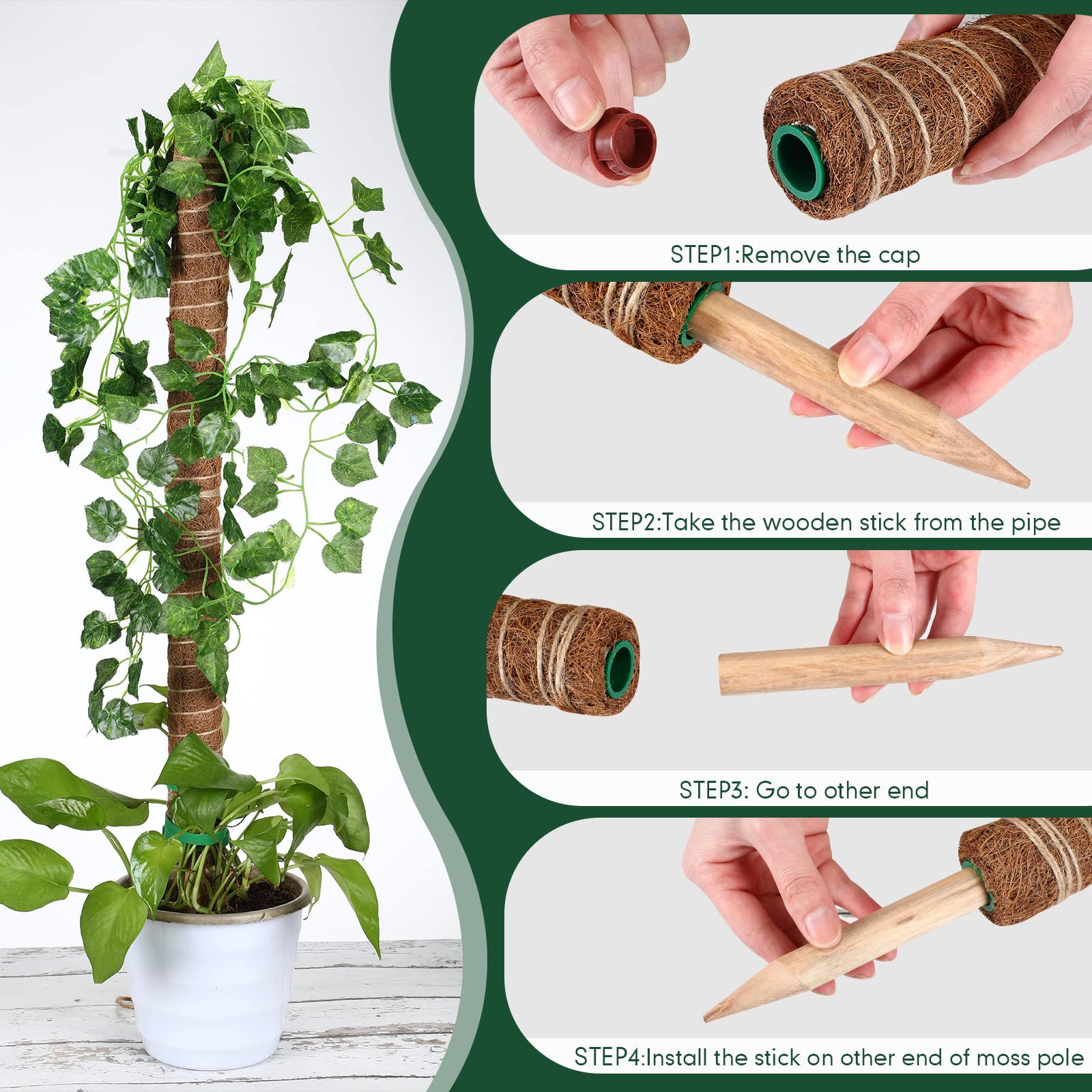 30 Stück Moosstangen für Pflanzen, Monstera, 41.5 cm, Monstera-Pflanzenunterstützung mit 10 Stück 16.5 m Juteseil und 18 m grünes Pflanzenband für Innen- und Außenbereich, Kletterpflanzen th