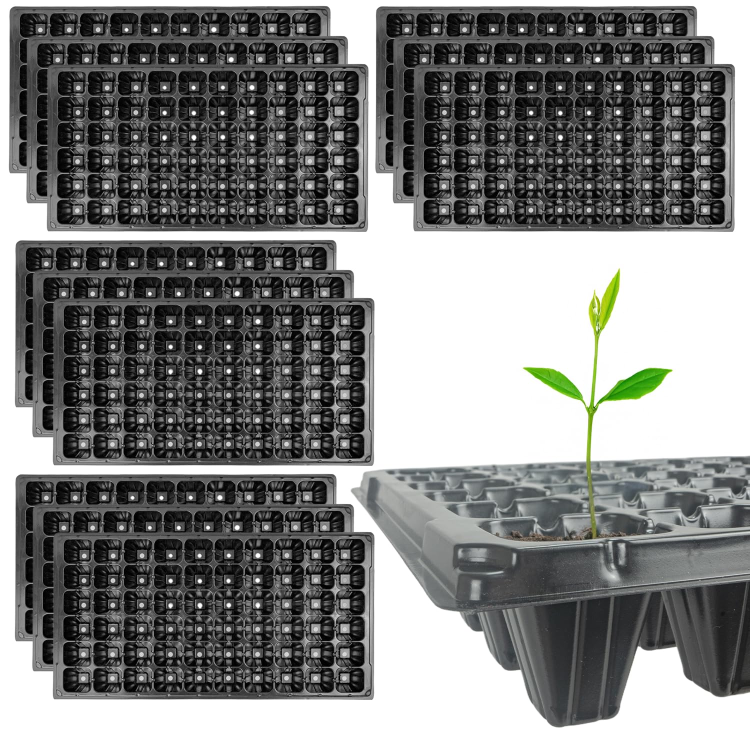 Woodside 60 Cell Root Trainer Seed Trays 12 Pack | Reusable Propagation Trays for Seedlings & Cuttings | Deep Cell Plant Starter Trays with Drainage Holes | Garden Growing Equipment
