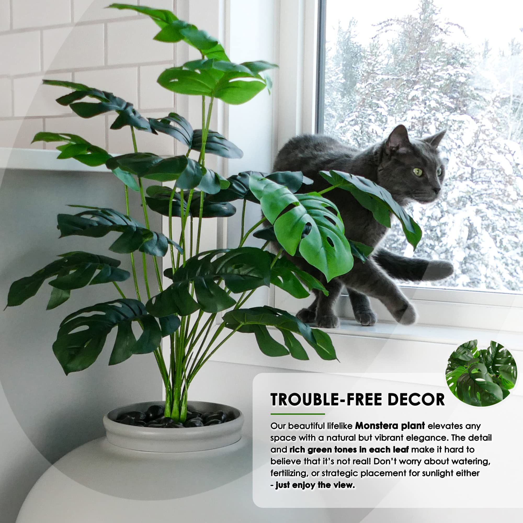 BJF Pets Caja de arena oculta y planta de Monstera sinttica, decoracin  del hogar y sala de estar, sistema totalmente cerrado, discreto para gatos y  gatitos : Amazon.com.mx: Hogar y Cocina