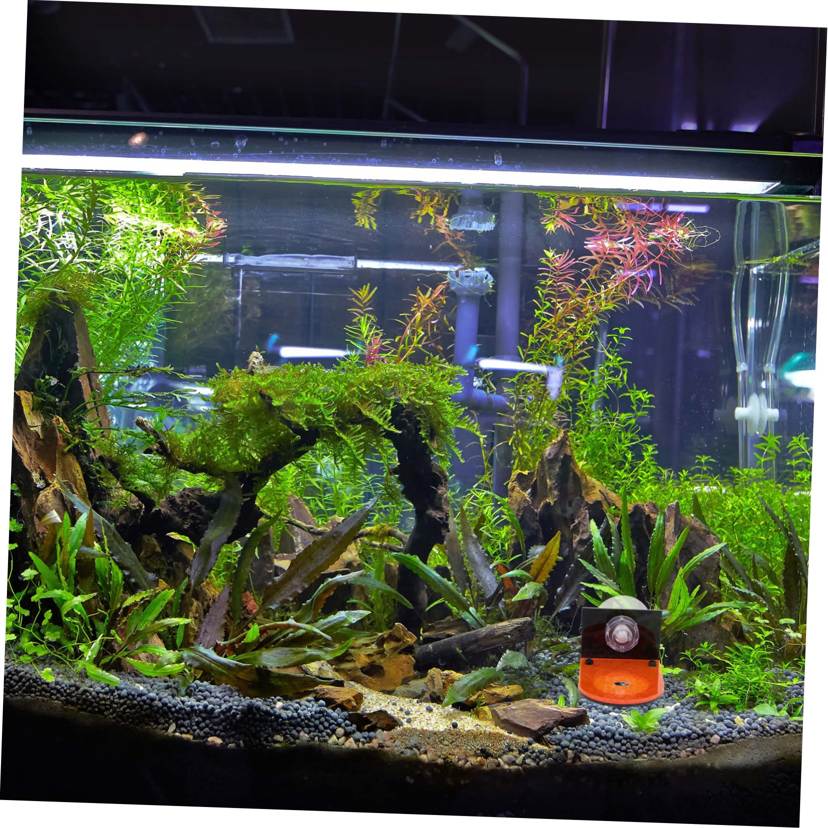 BESPORTBLE 8stücke Aquarium Korallenhalterungen Fluoreszierende Racks Für Zucht Wachstum Von Korallen Geeignet Für Süß Und Salzwasseraquarien Stabil Und Langlebig
