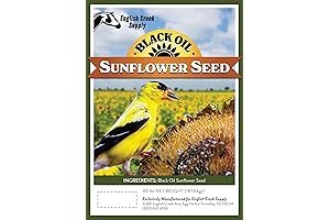 Black Oil Sunflower Seed Wild Bird Food (40 Pound)