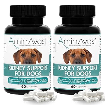 AminAvast 健康サポートサプリメント 60カプセル Amazon.com : AminAvast Dog Kidney Supplement - Supports