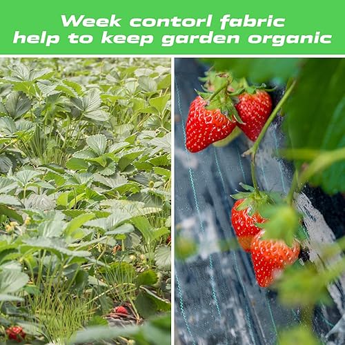 Miniatura 5 de CHENBAIYI Tela de barrera de malezas para jardín, cubierta de suelo duradera, rollo de tela de paisajismo de jardín, fácil instalación y diseño