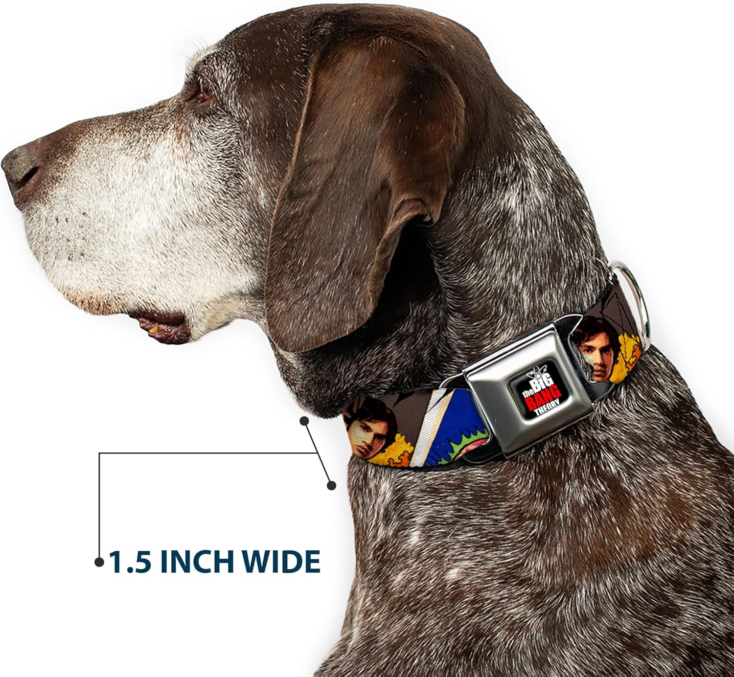 Dog Collar Seatbelt Buckle The Big Bang Theory Comic Strip 9 to 15 Inches 1.0 Inch Wide