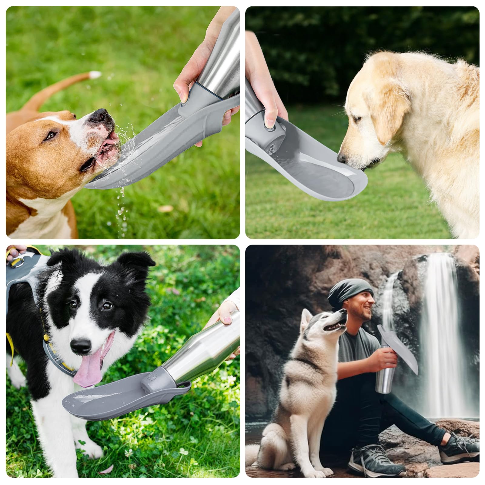 BYZESTY Gourde pour chien, 750 ml, pliable à 180°, portable, en acier inoxydable, gris, pour chien, extérieur