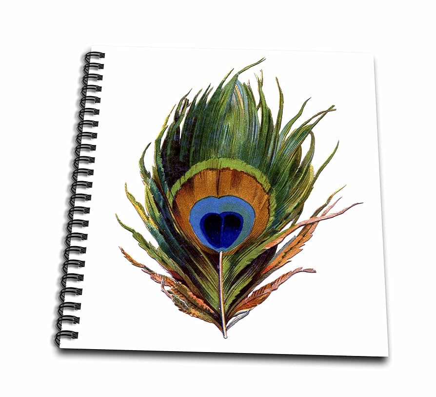 Amazon.com: 3dRose db_37447_1 Large Colorful Peacock Feather