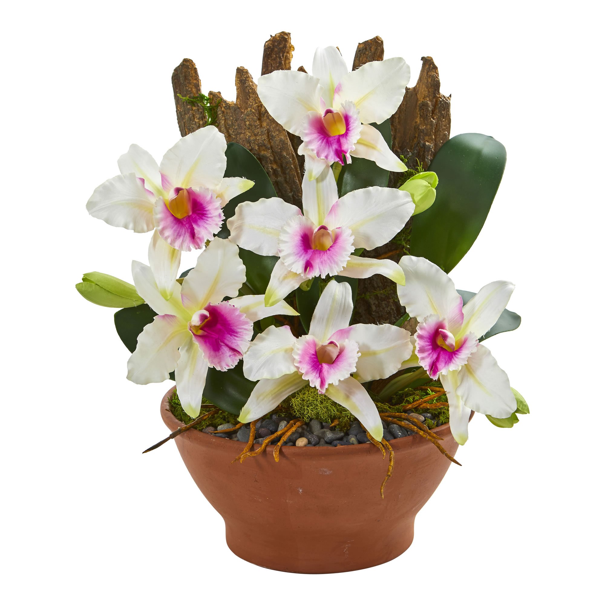 Nearly Natural Cattleya Orchid Artificial Clay Vase Silk Arrangements, White
