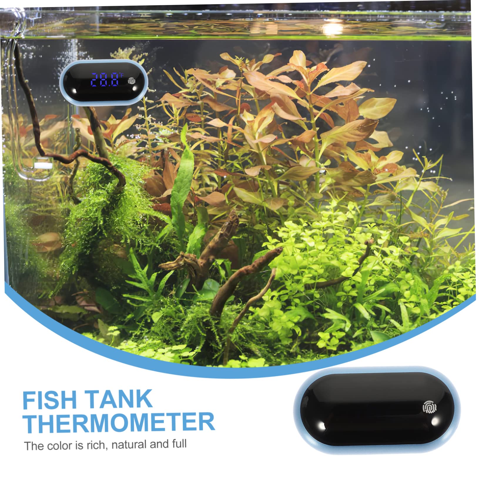 Sosoport 3stücke Professionelles Aquariumthermometer Mit Großem -display Tragbar Und Hochpräzise Für Aquarien Und Teiche Einfache Handhabung Energiesparend Und Langlebig