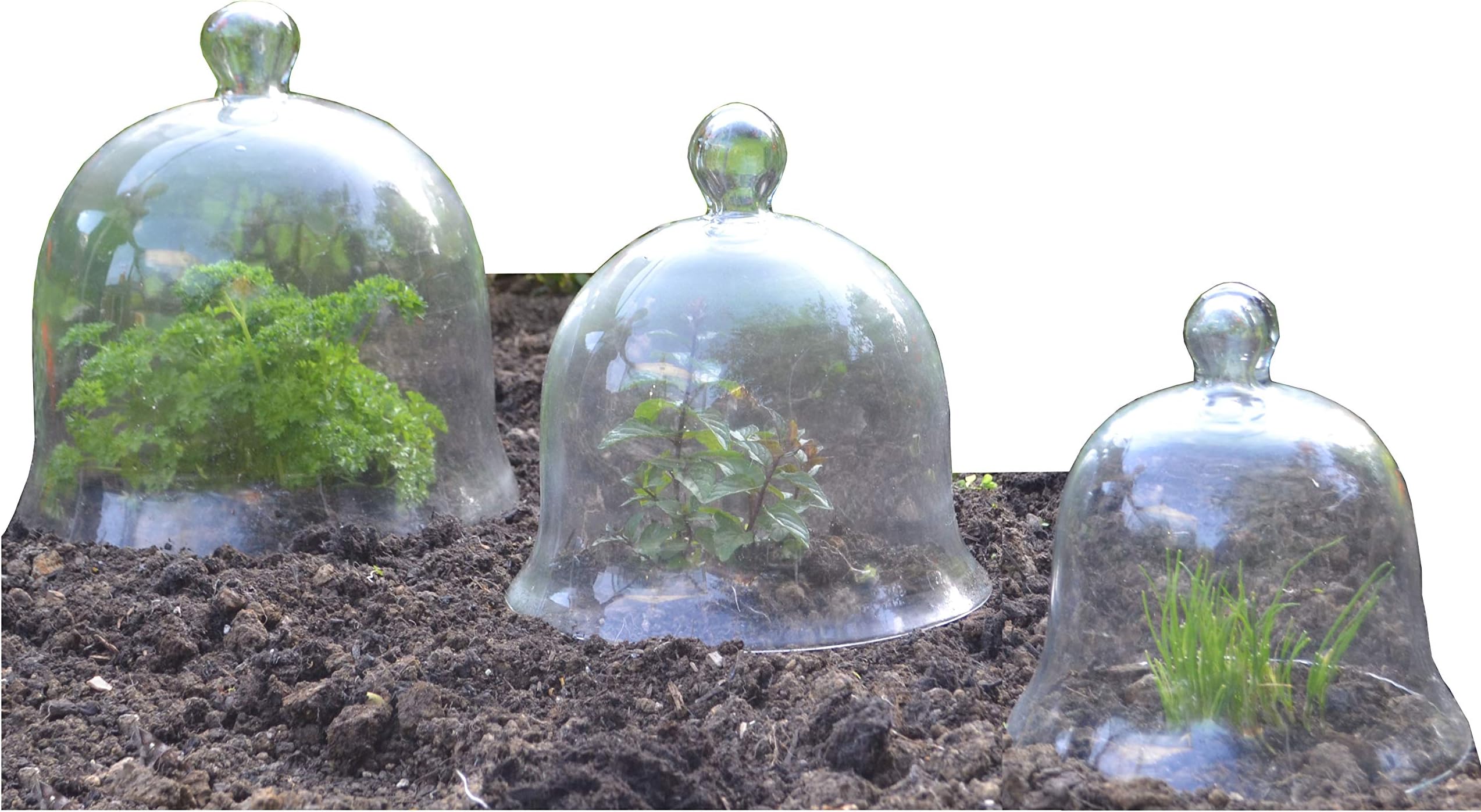 Access Garden Products Glass Bell Cloche - Set of 3