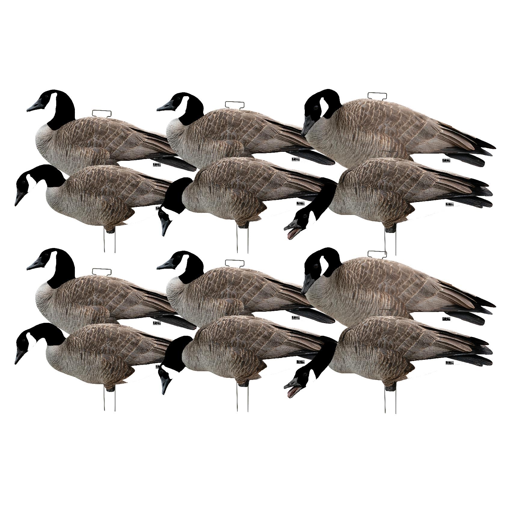 Avery GHG Pro-Grade Silhouette Goose Decoys Dozen